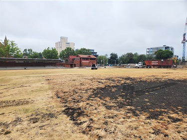 Toorak Park 12 Jan 2023