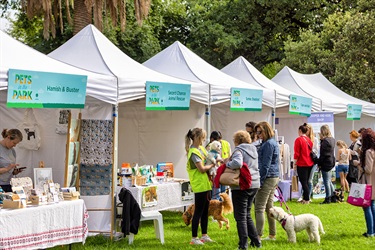 Pets in the Park event