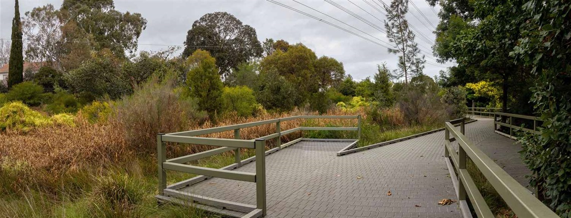 Grange Road wetlands