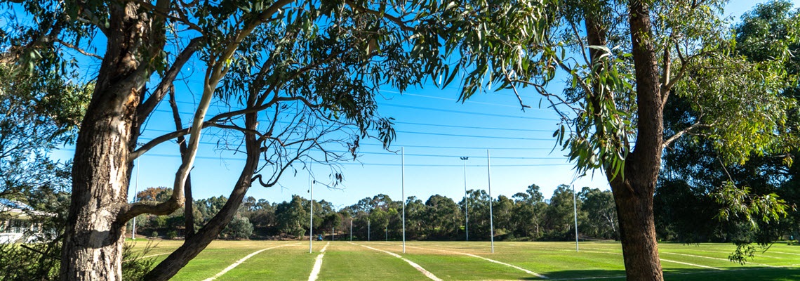View through trees across the field