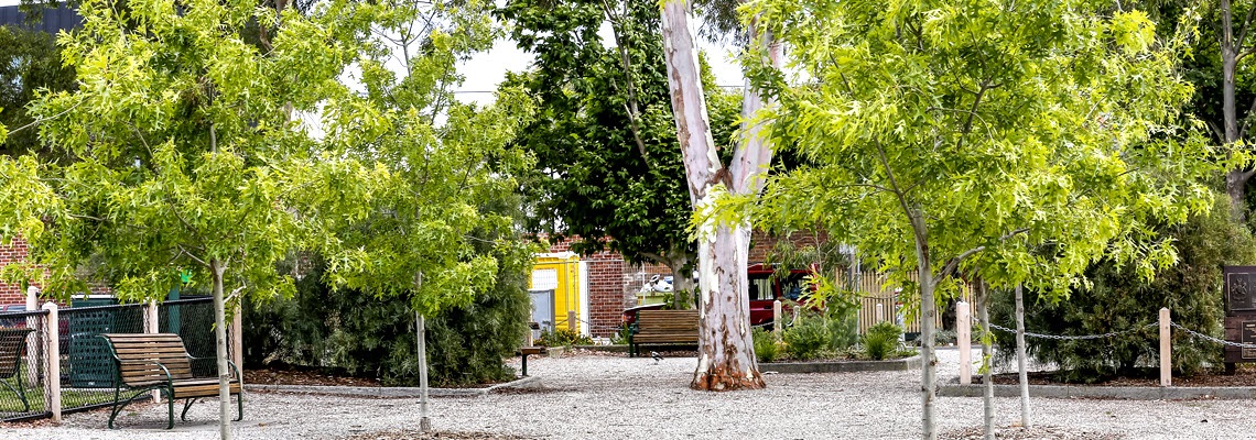 Trees and benches