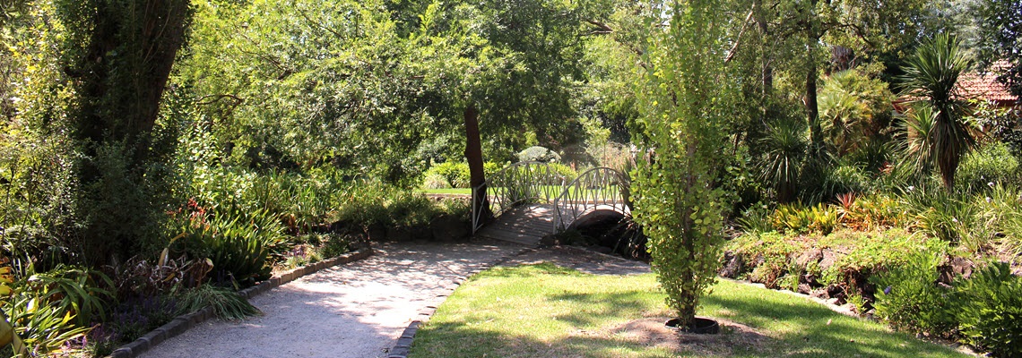 Garden path and bridge