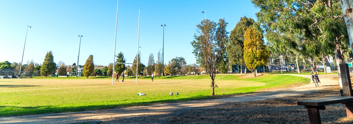 Oval, path and goal posts