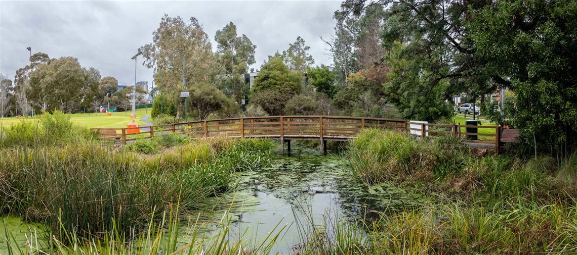 Percy Treyvaud wetlands