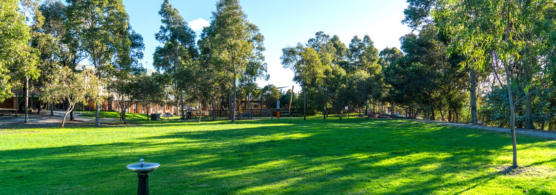 Drinking fountain and lawn