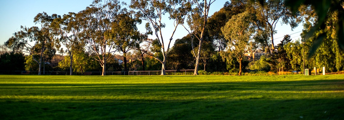 View across oval toward treeline