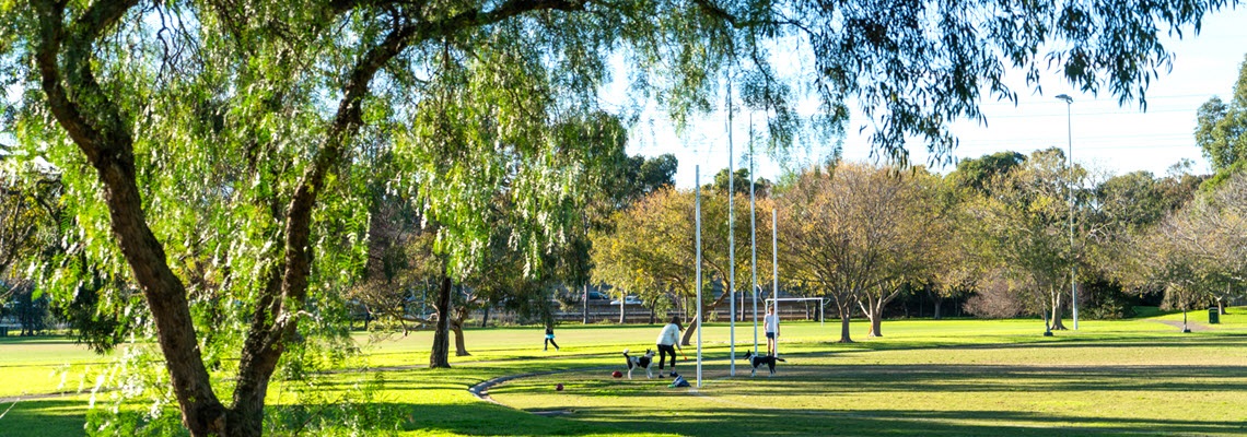 Dog and kids on oval