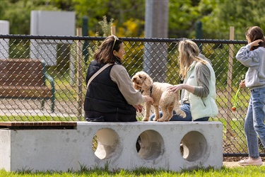 Thomas-Oval-dog-park-opening
