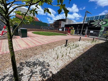 Bangs Street park