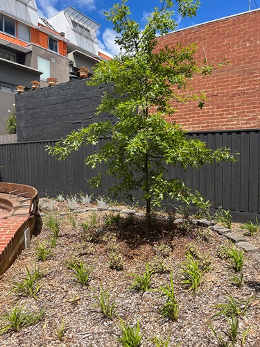 Mouclif Street park