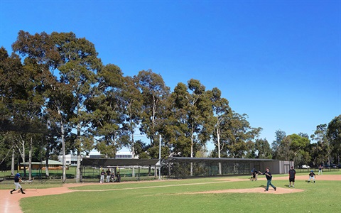 Wadworth-Field-Batting-Cage.jpg