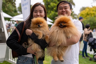 Pets in the Park 2024