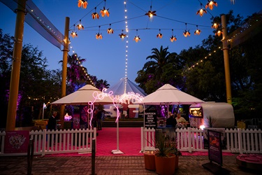 So Soiree Fringe Garden 2024