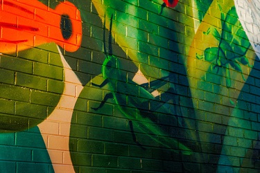 Marc Martin Mural - photo by Visuals by Campbell