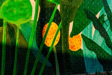 Marc Martin Mural - photo by Visuals by Campbell