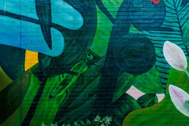 Marc Martin Mural - photo by Visuals by Campbell