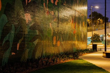 Marc Martin Mural - photo by Visuals by Campbell