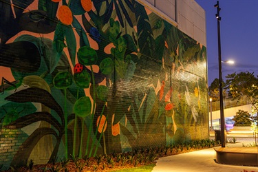 Marc Martin Mural - photo by Visuals by Campbell