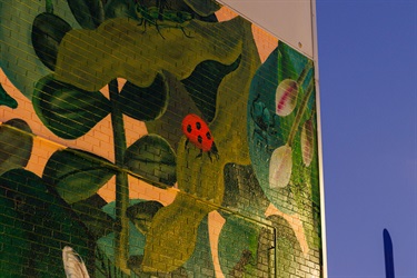 Marc Martin Mural - photo by Visuals by Campbell