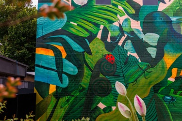 Marc Martin Mural - photo by Visuals by Campbell