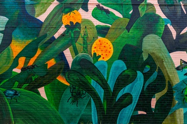 Marc Martin Mural - photo by Visuals by Campbell