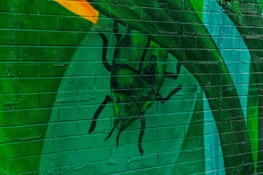 Marc Martin Mural - photo by Visuals by Campbell