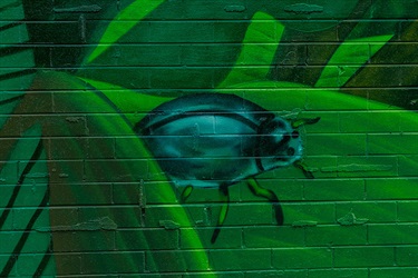 Marc Martin Mural - photo by Visuals by Campbell