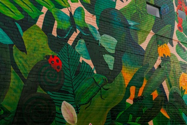 Marc Martin Mural - photo by Visuals by Campbell