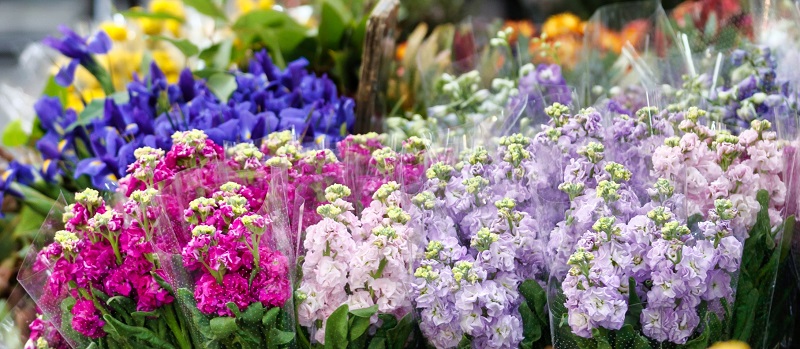 Prahran-Market_Flawless-Flowers.800x350.jpg