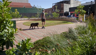 Bangs-Street-Park-2025-3.jpg