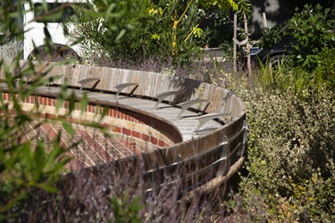 Bangs-Street-Park-2025-7.jpg