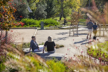 Basil-Street-Park-2025-5.jpg