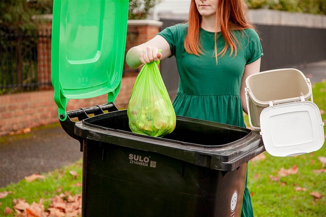 Food and green waste bin.jpg