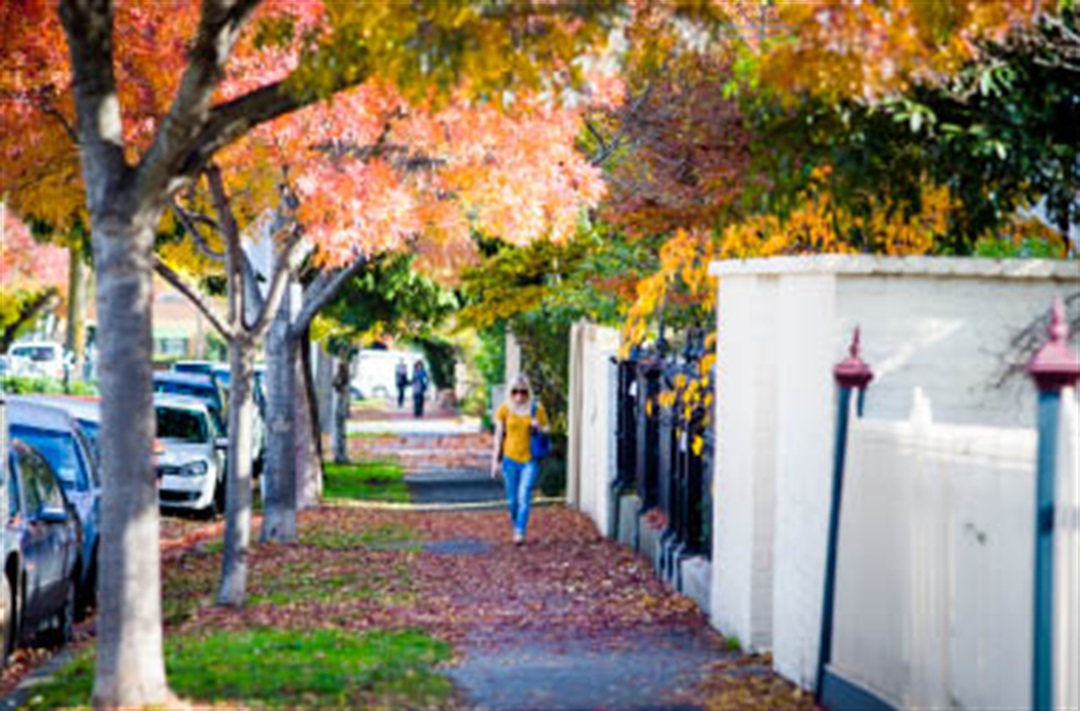 Trees and nature strips City of Stonnington