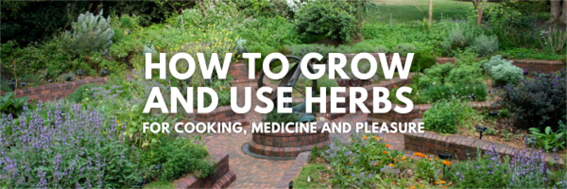 How to Grow - Mobile Banner - May 2026