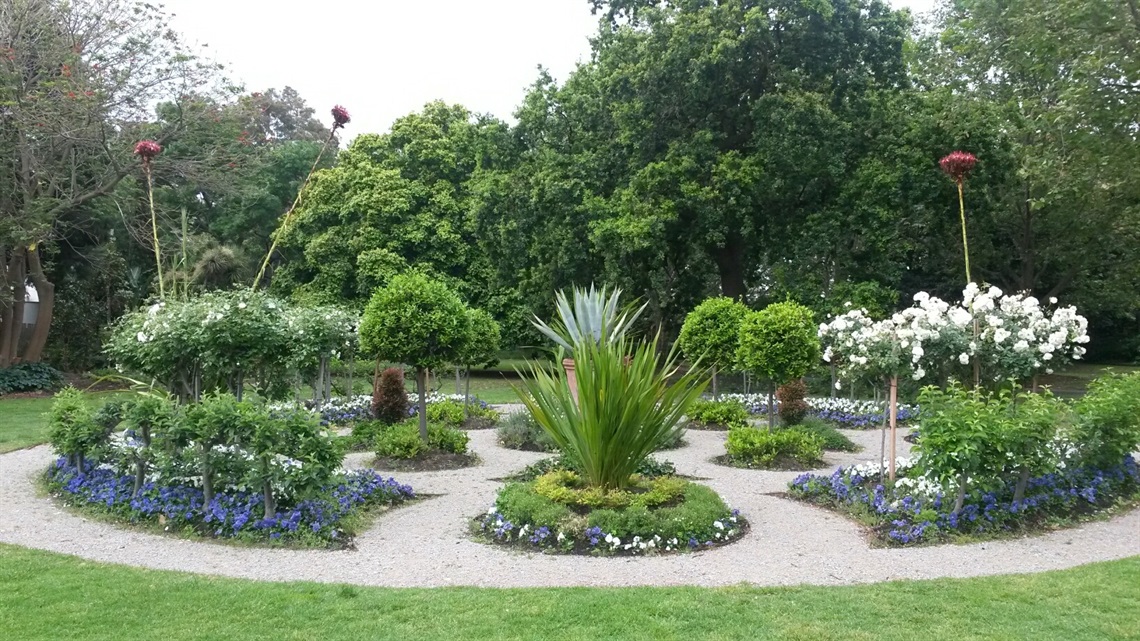 20161113_112433_resized_1