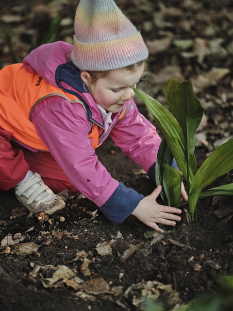 ELC Nature Play Hedgeley Dene Gardens 2025 (53).jpg
